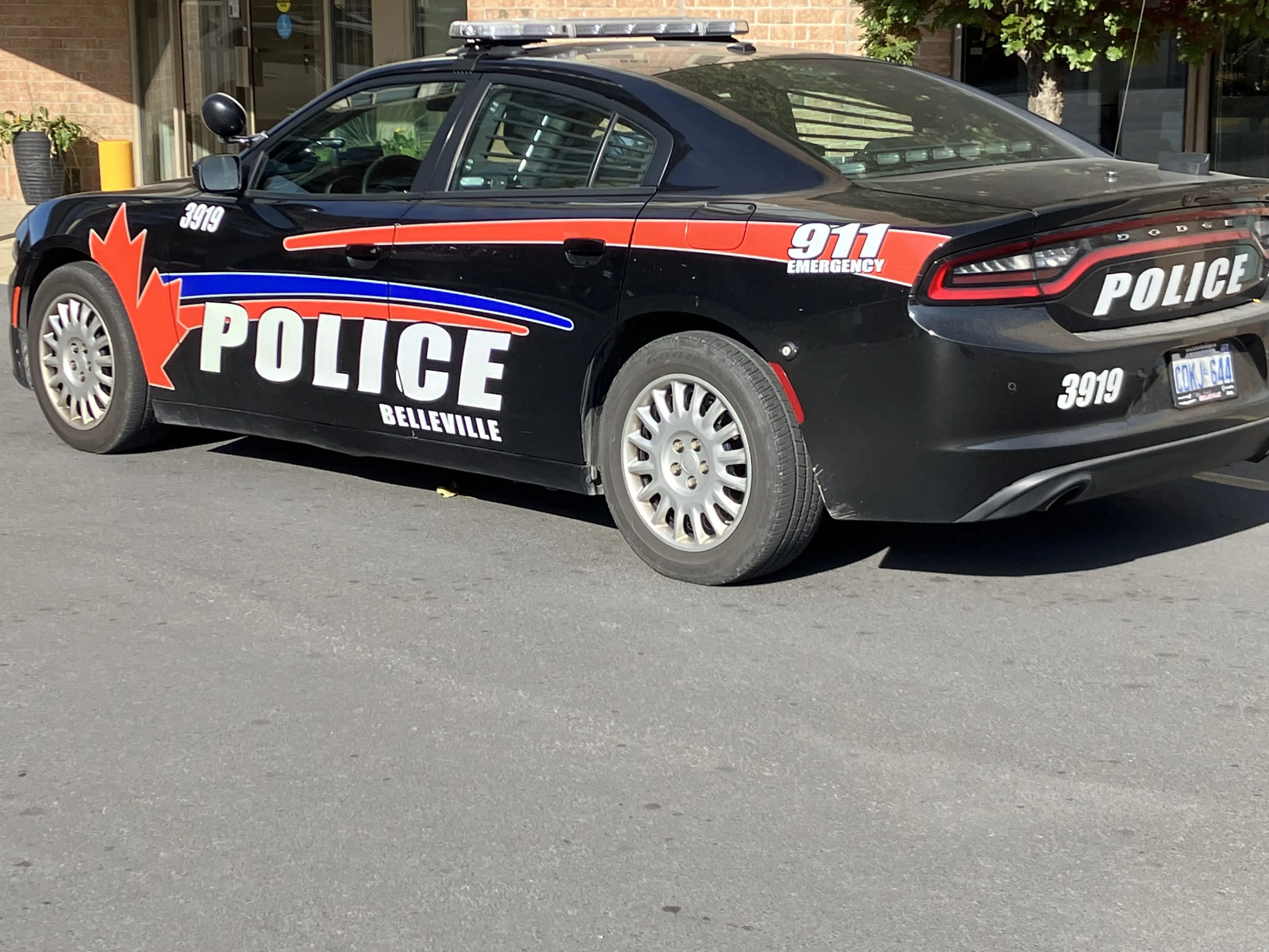 Weekend Belleville police report