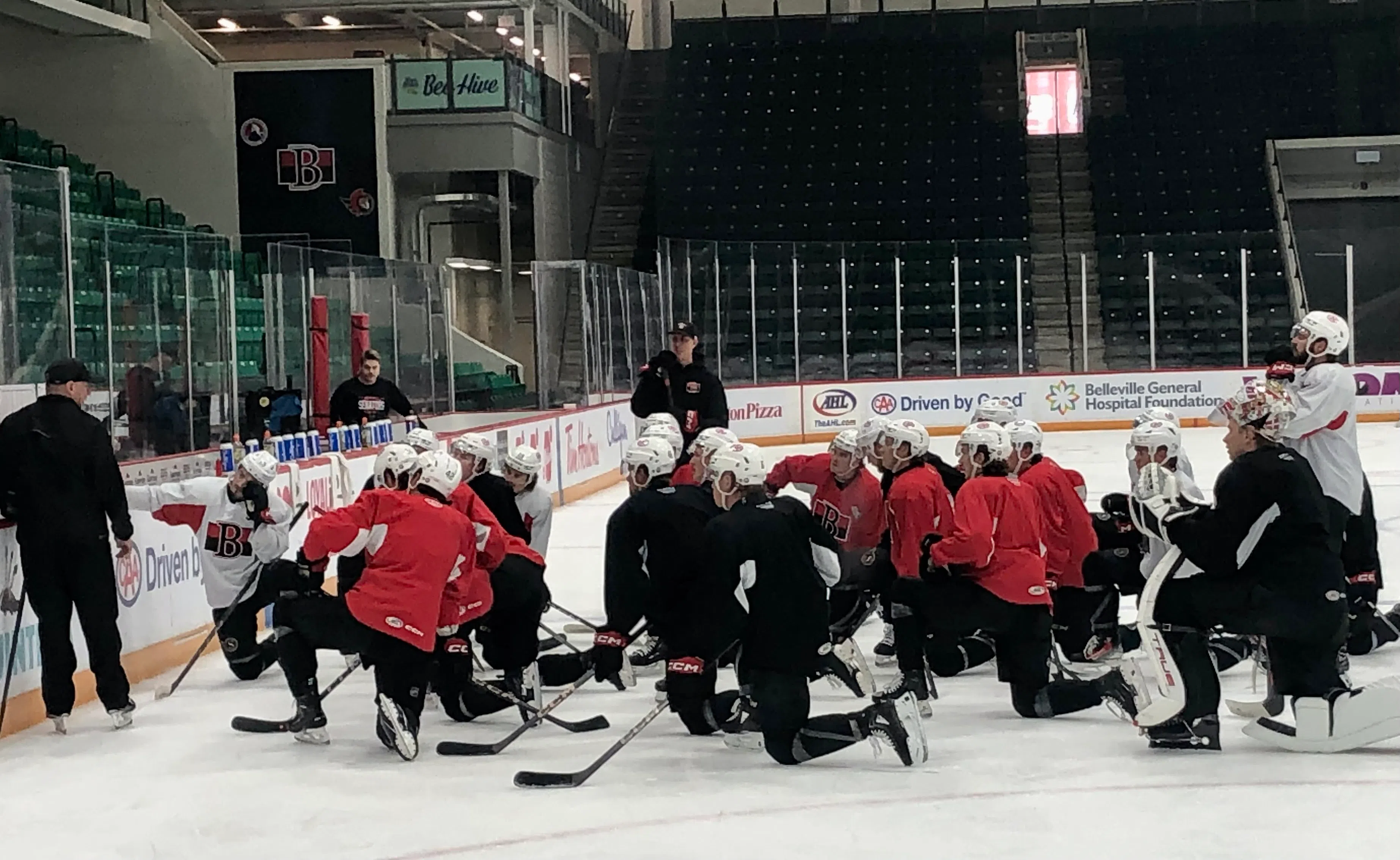 High expectations and talent for Sens