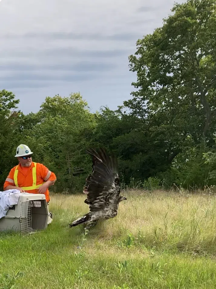 Local television show to highlight wildlife rescue charity