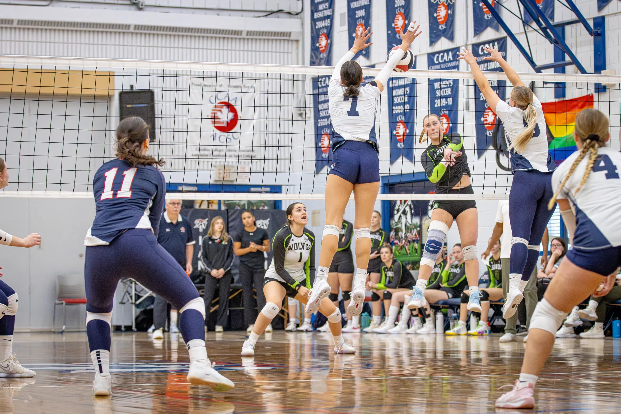 Loyalist Lancers volleyball action against Seneca