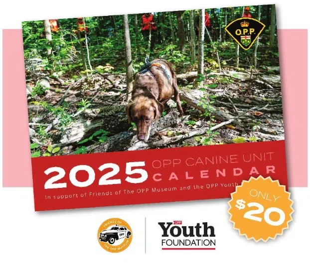 Canine calendar set for 2025