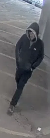 Kingston Police seek public's assistance identifying suspect in vehicle theft