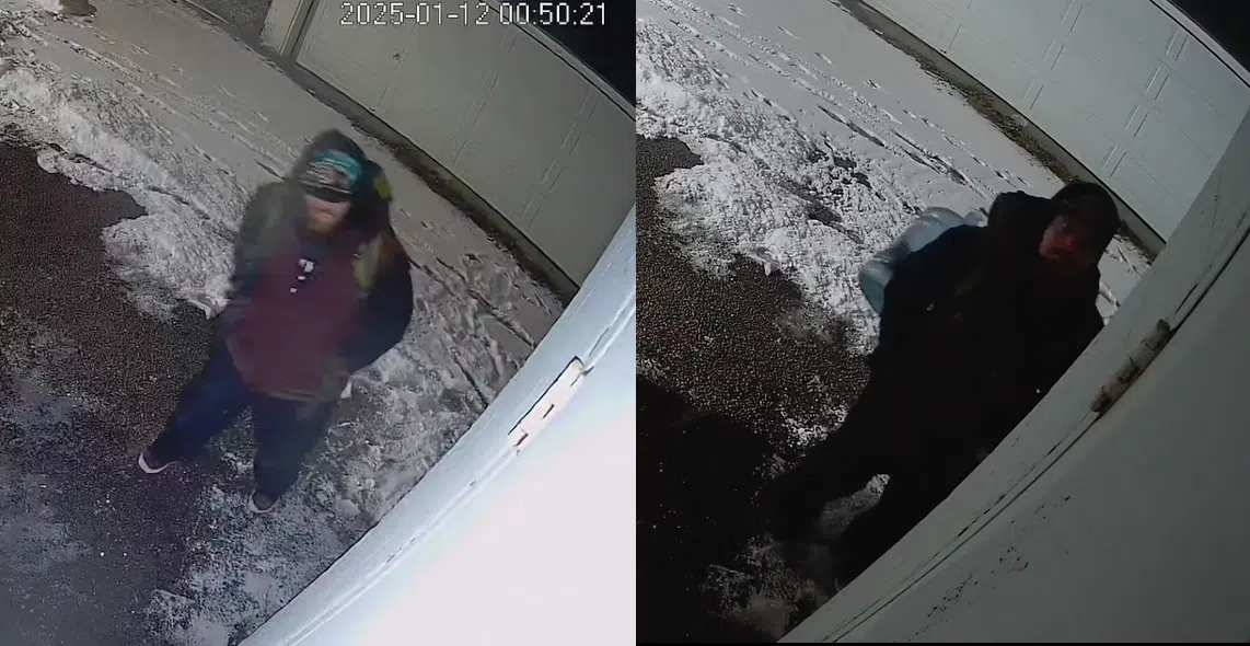 Belleville police looking to identify break and enter suspect