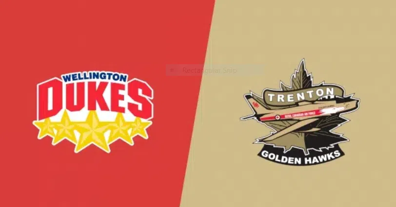 G-Hawks win, Dukes lose in OJHL