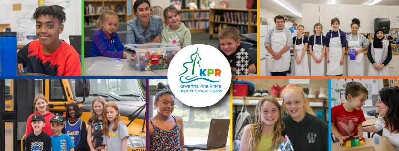 New schools in Newcastle and Millbrook area