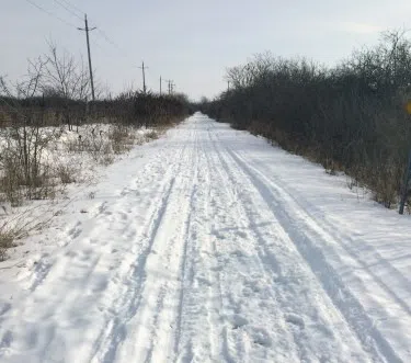 Winter rules on Millennium Trail