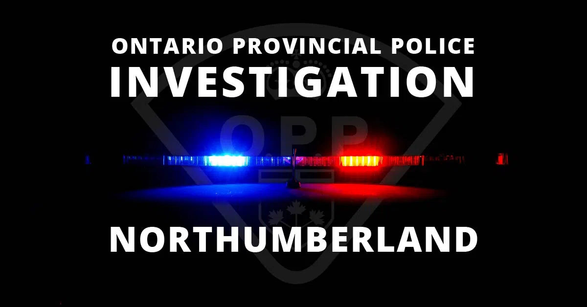 Suspect search in Northumberland