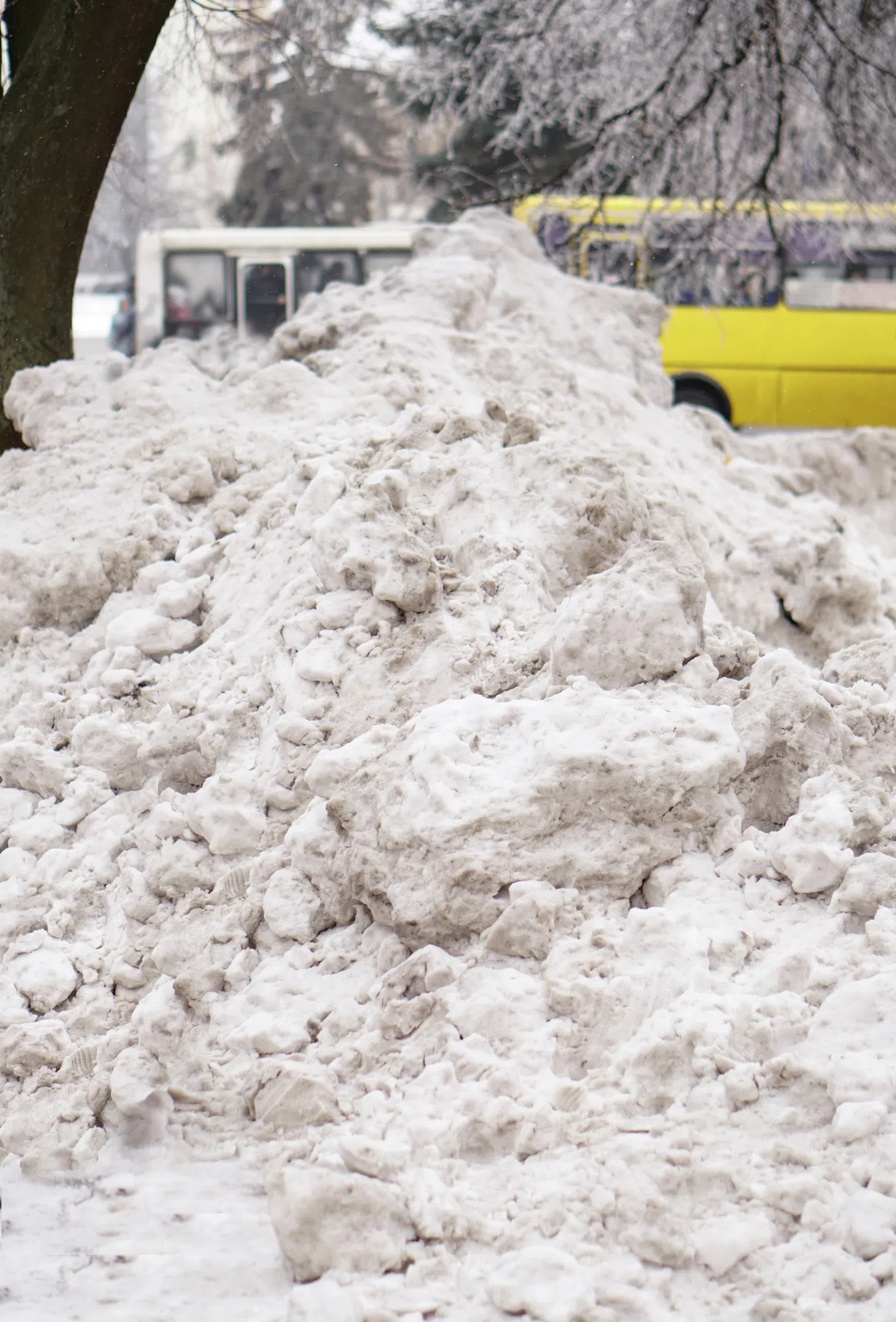 Sidewalk snow removal in progress in PEC