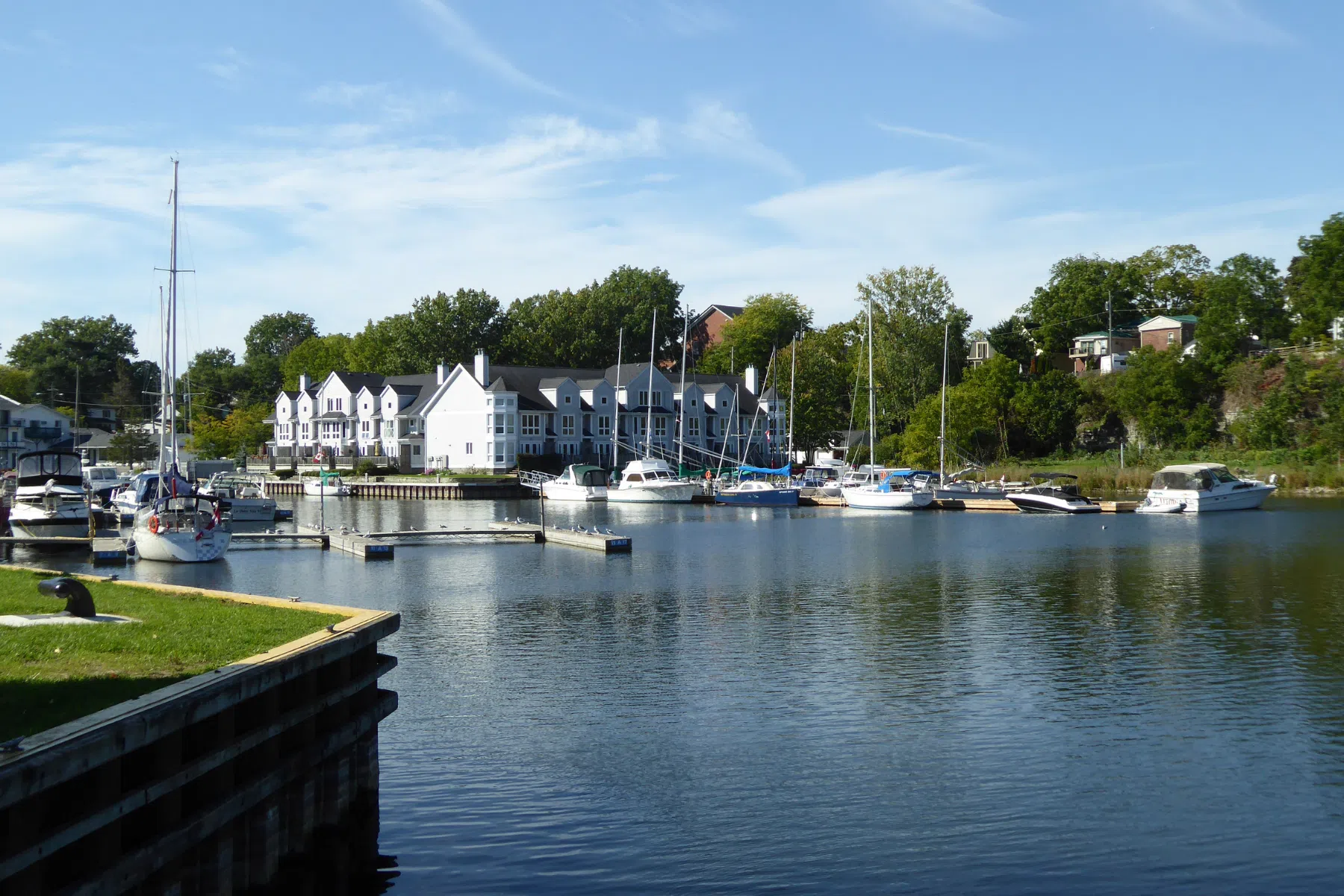 Picton Marina operation up for discussion