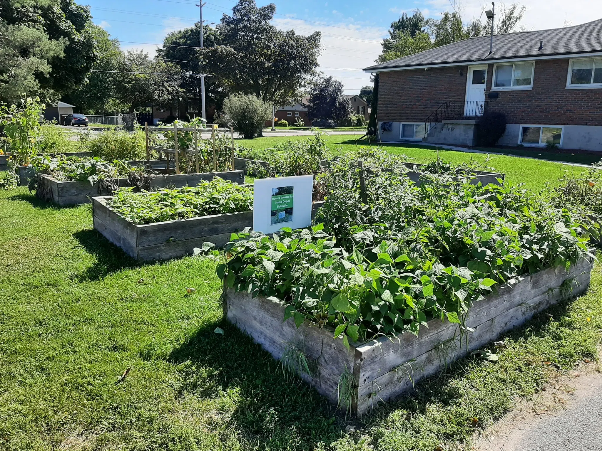 Registration open for CDC Quinte's 2025 Community Garden Program