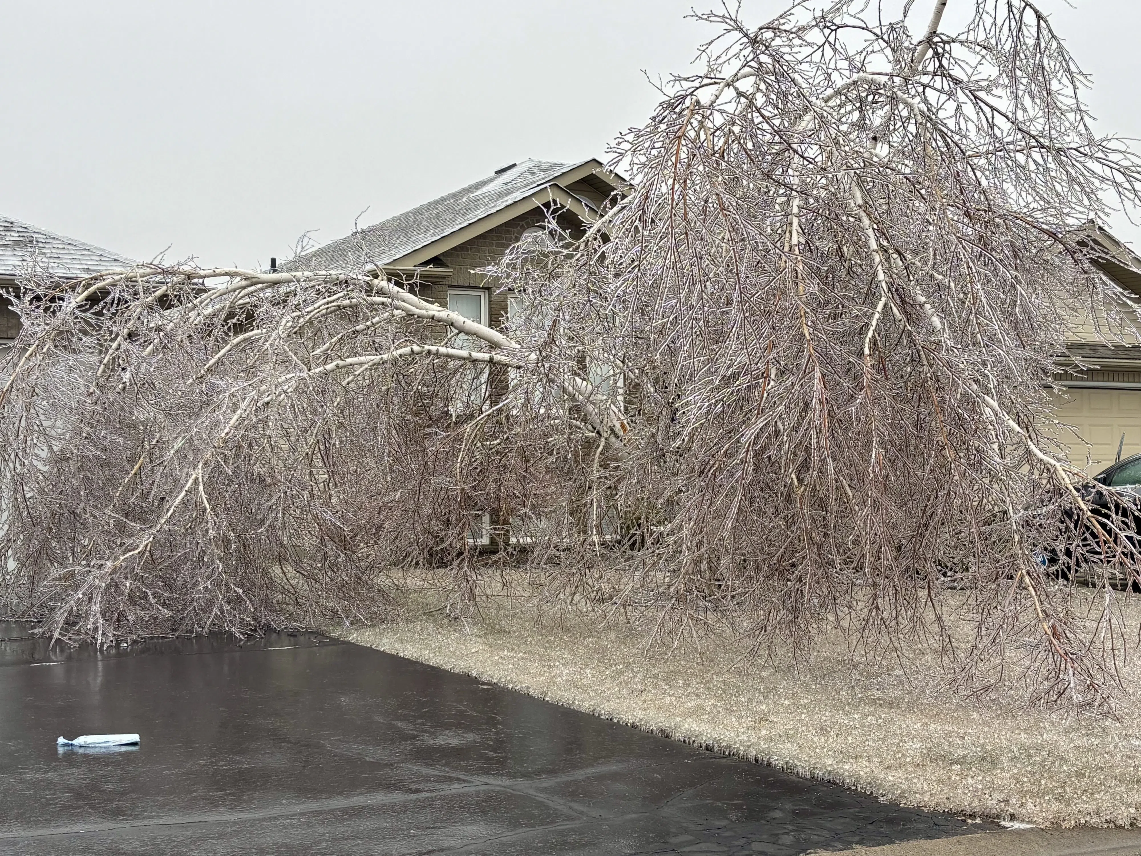 Quinte West to apply for provincial ice storm funding