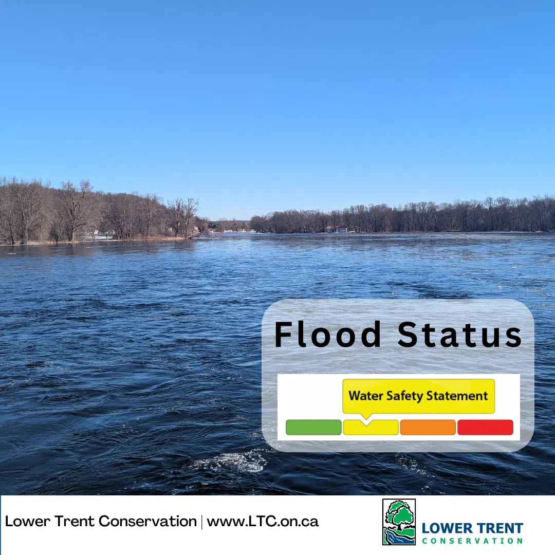Water Safety Statement issued for Trent River