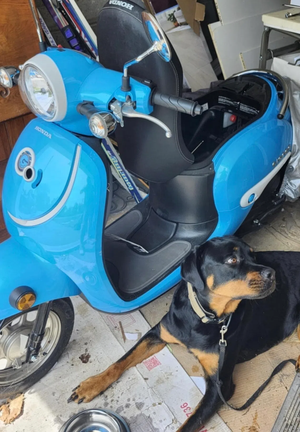 Police seeking assistance in locating stolen scooter