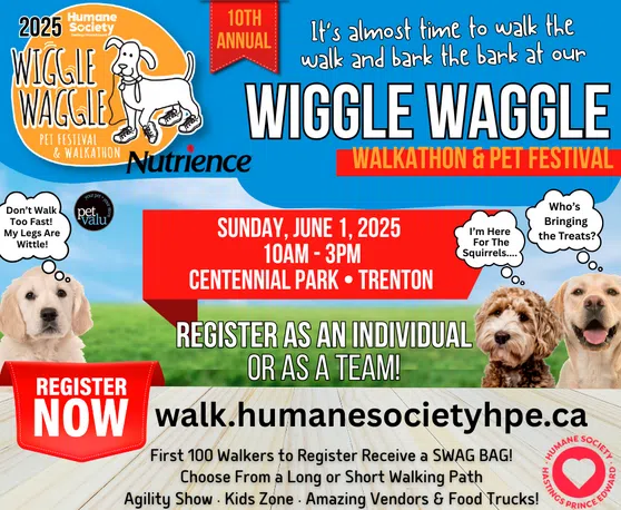 Get set to Wiggle Waggle for a good cause