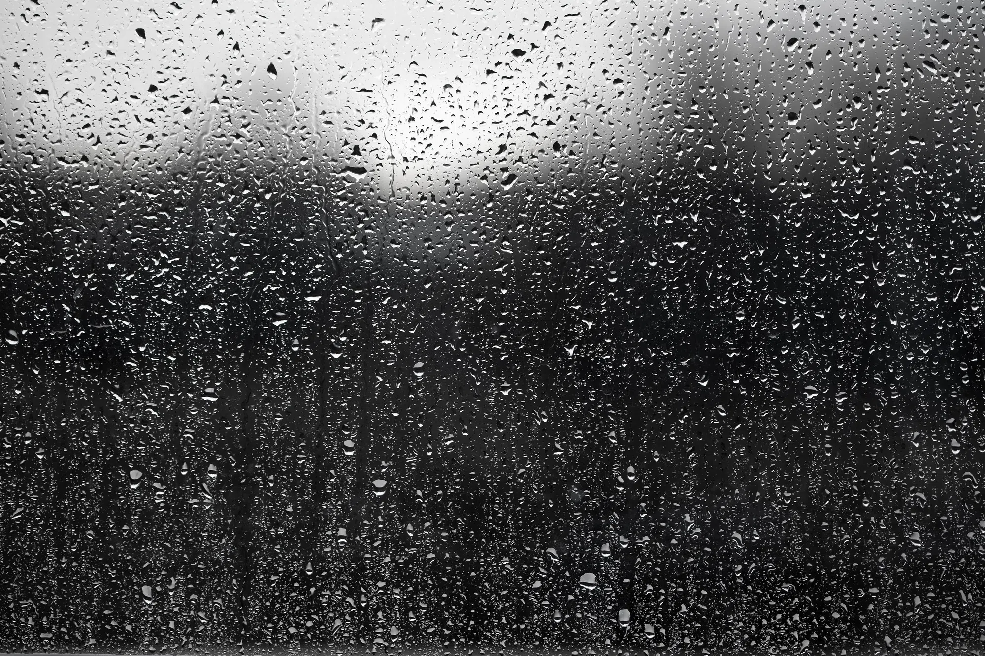 Plenty of rain with more to come