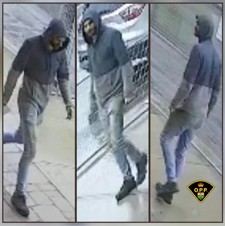 OPP seeking suspect following incident in Madoc