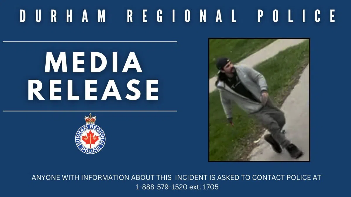 Assault News Image