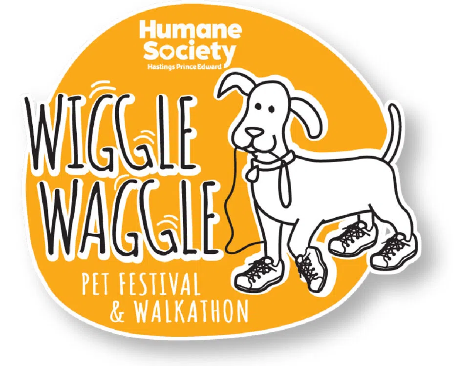 Walking, wiggling and waggling for a good cause