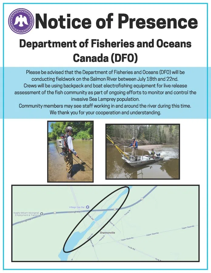 DFO conducting field work on the Salmon River