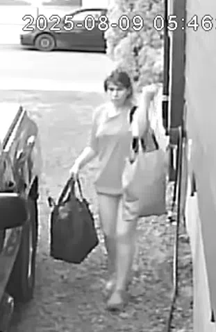 Kingston police seeking public assistance identifying theft suspect