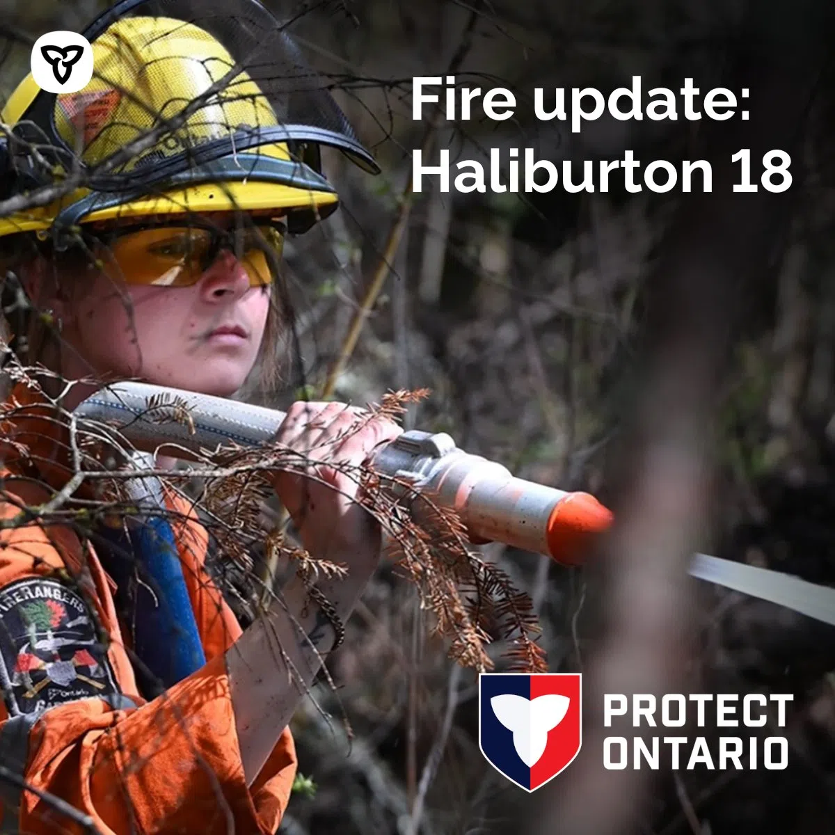 Wildfire situation improves in Marmora and Lake