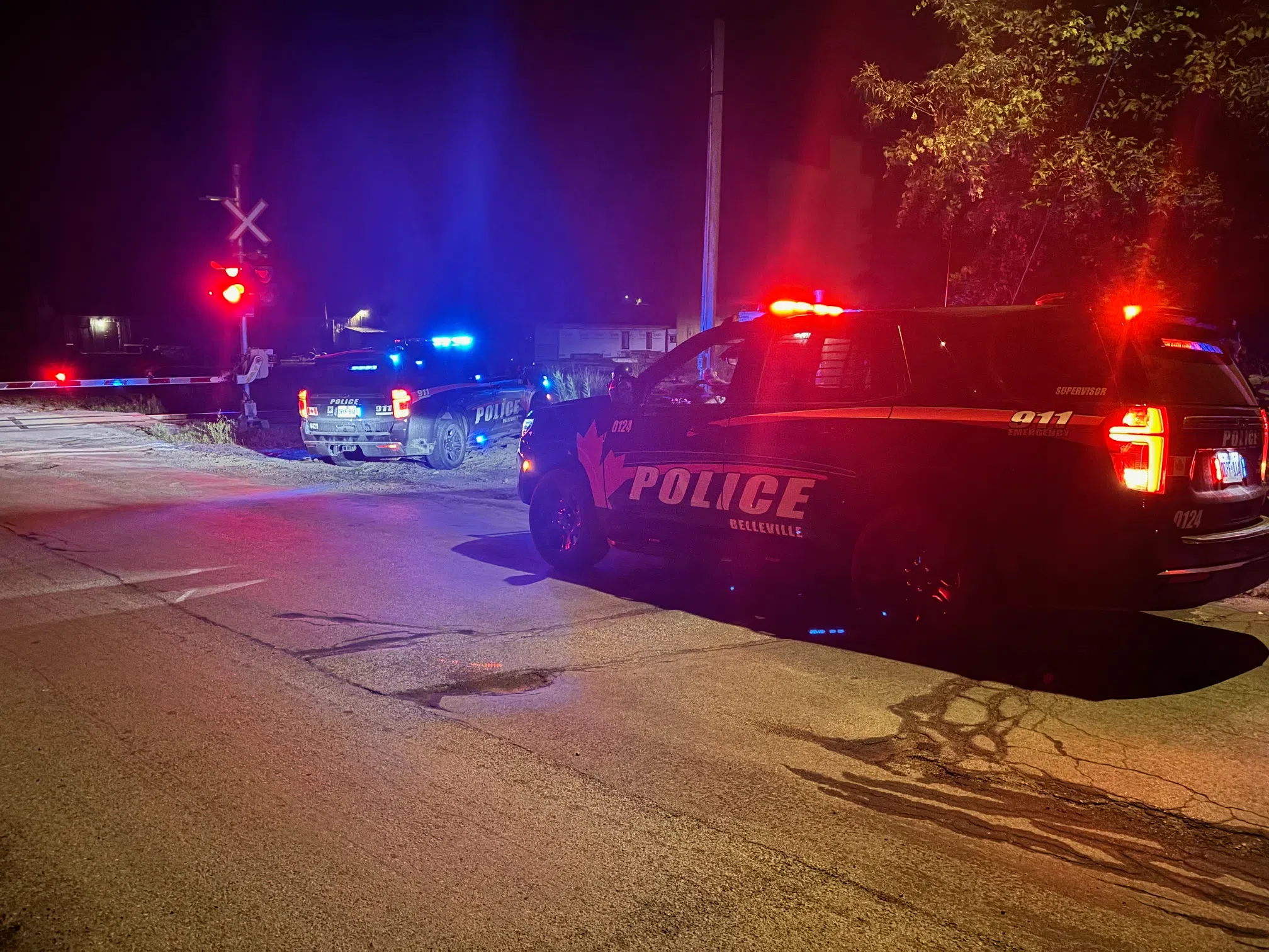 Pedestrian struck by train