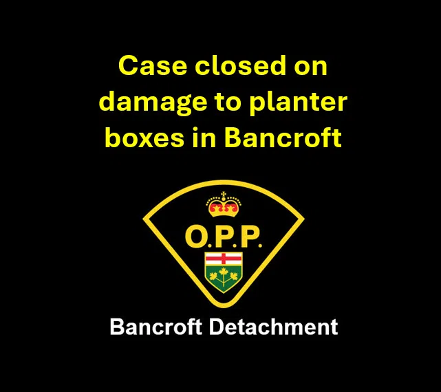 Vandalism case solved