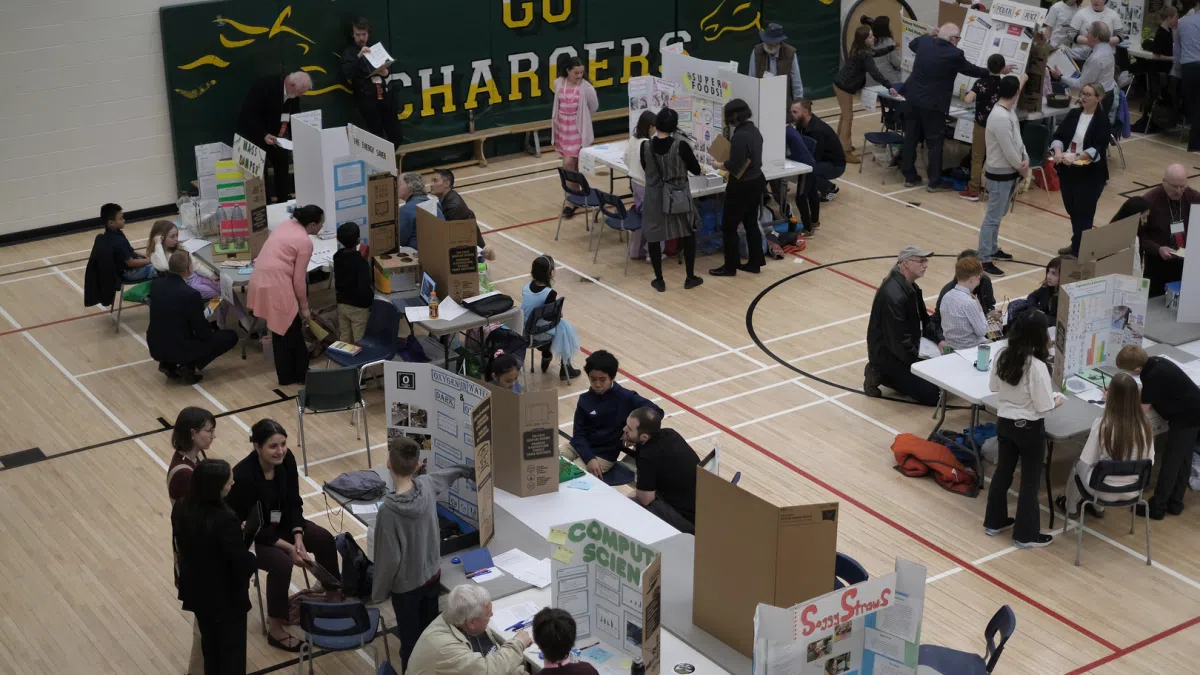 Quinte's Young Scientists Shine: 2025 Regional Science & Tech Fair Wraps Up!