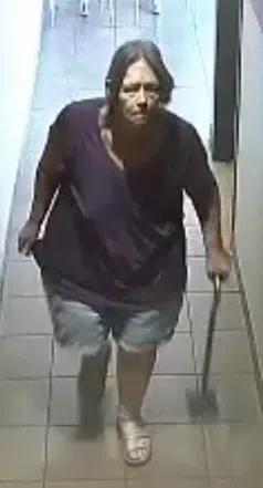 Kingston Police seek public assistance in identifying theft suspect