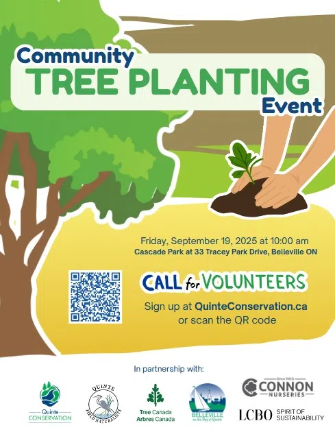 Cascade Park tree planting event this Friday