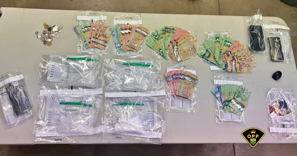 Failed RIDE stop results in large drug seizure in Kingston