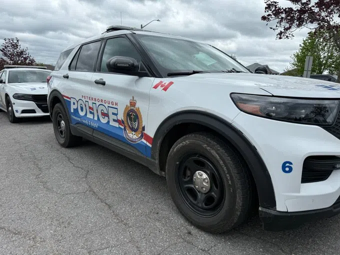 Arrest made in connection with break and enters at Peterborough, Lakefield businesses