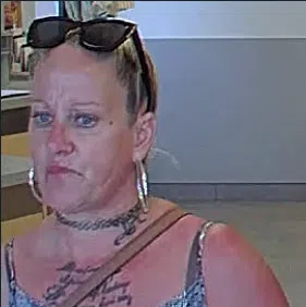 Kingston police seek assistance identifying theft suspect