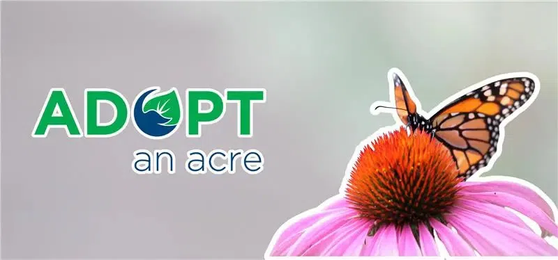 Adopt an Acre returns