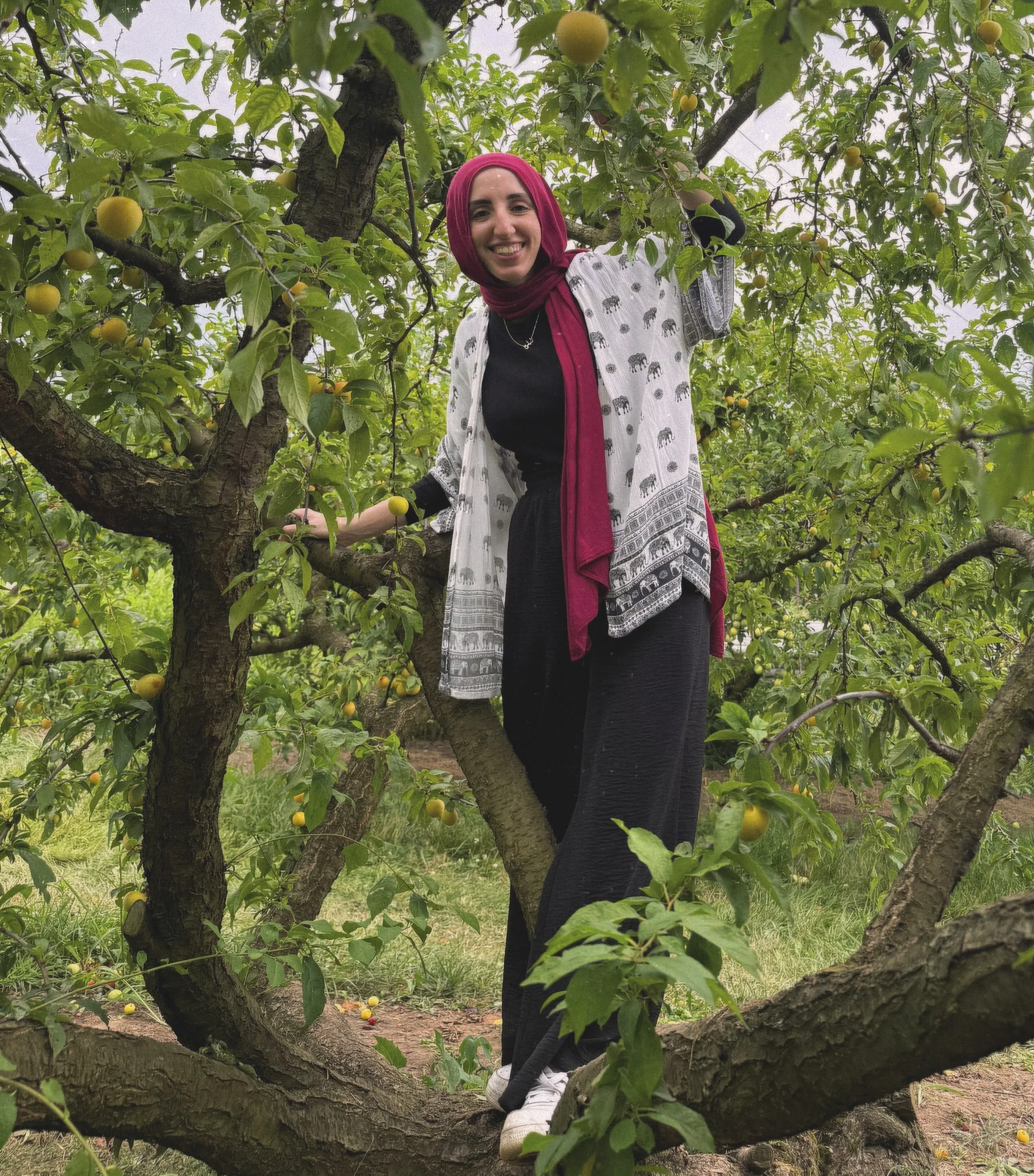 Belleville welcomes another new doctor