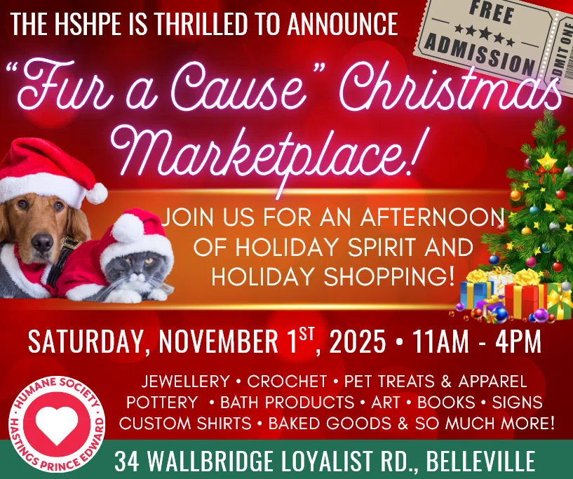 Christmas shopping to benefit Humane Society