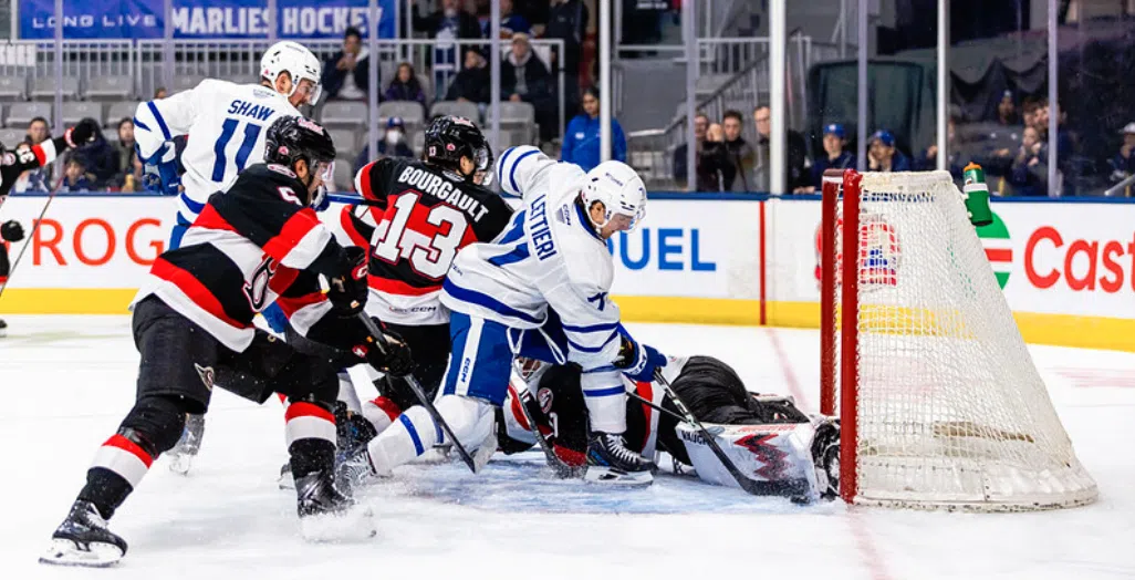 Good weekend for the Belleville Senators