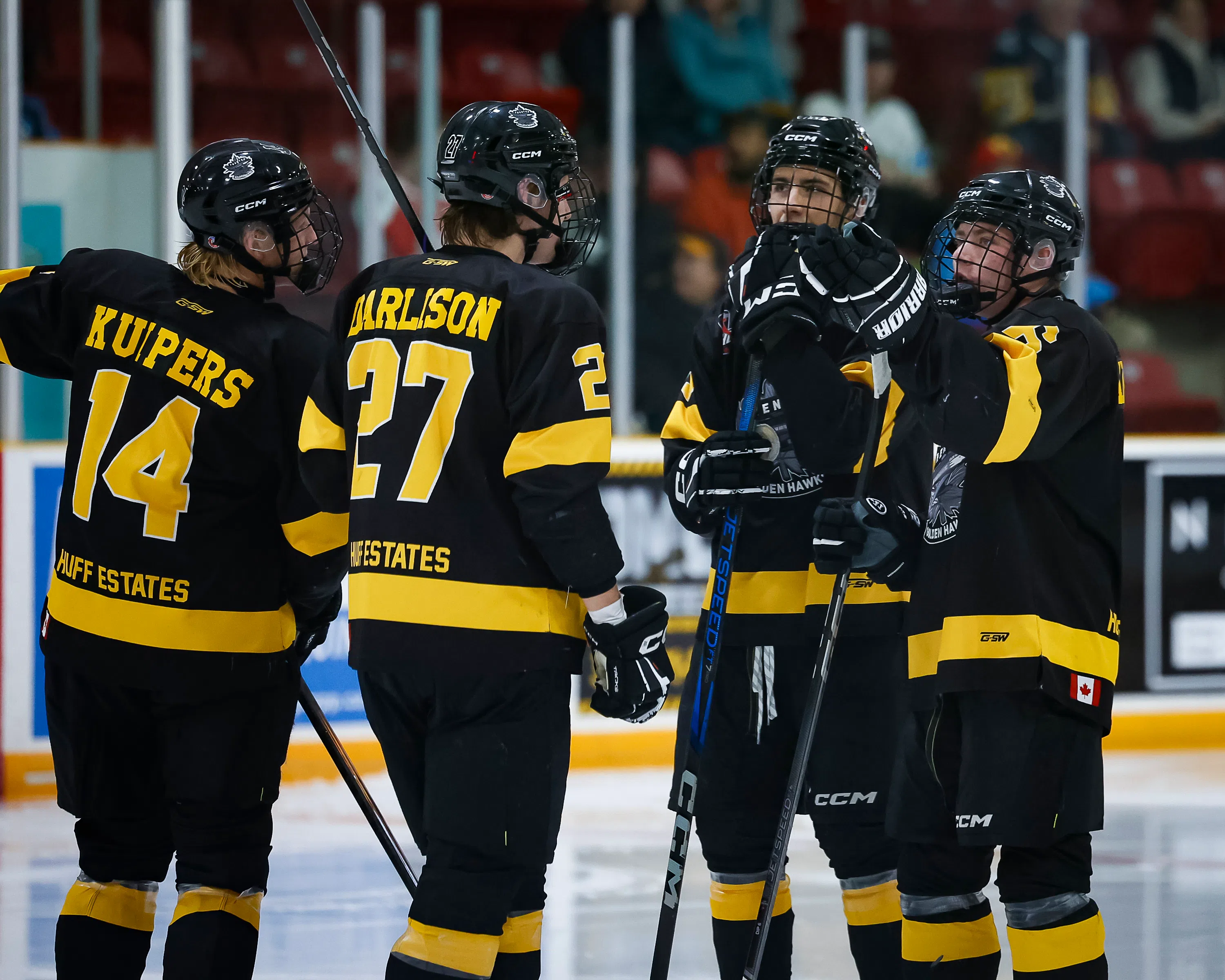 Golden Hawks climbing national rankings