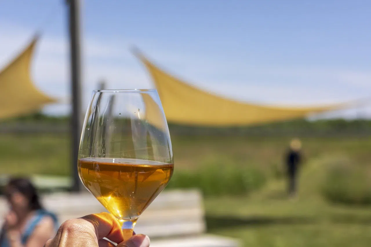 Prince Edward County named one of the globe's top travel destinations