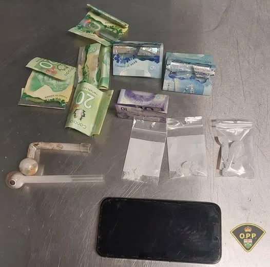 Traffic stop leads to drug charges