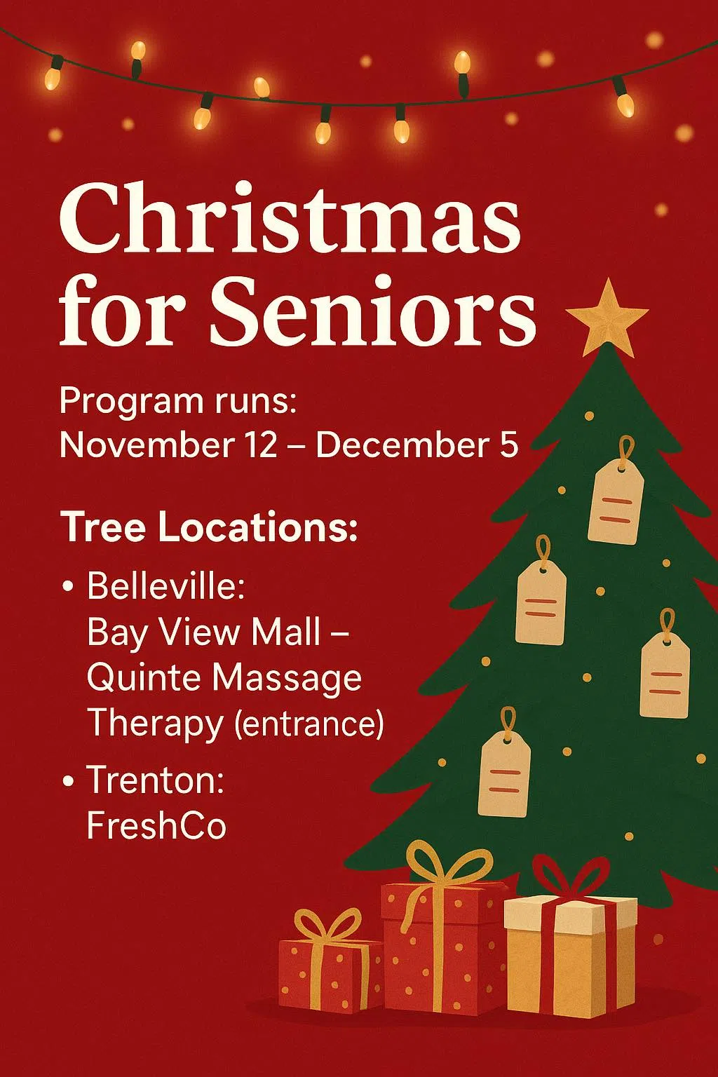 Make a senior's day this holiday season