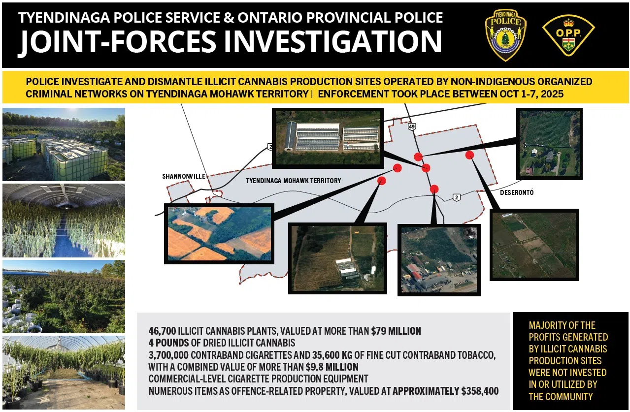 More plants seized, additional charges laid in connection with Tyendinaga Mohawk Territory drug investigation