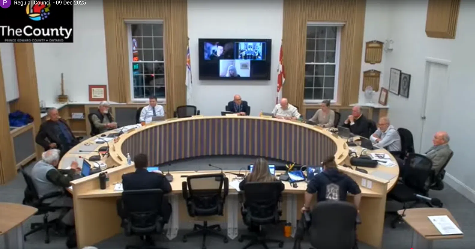 Council votes to investigate port's activities