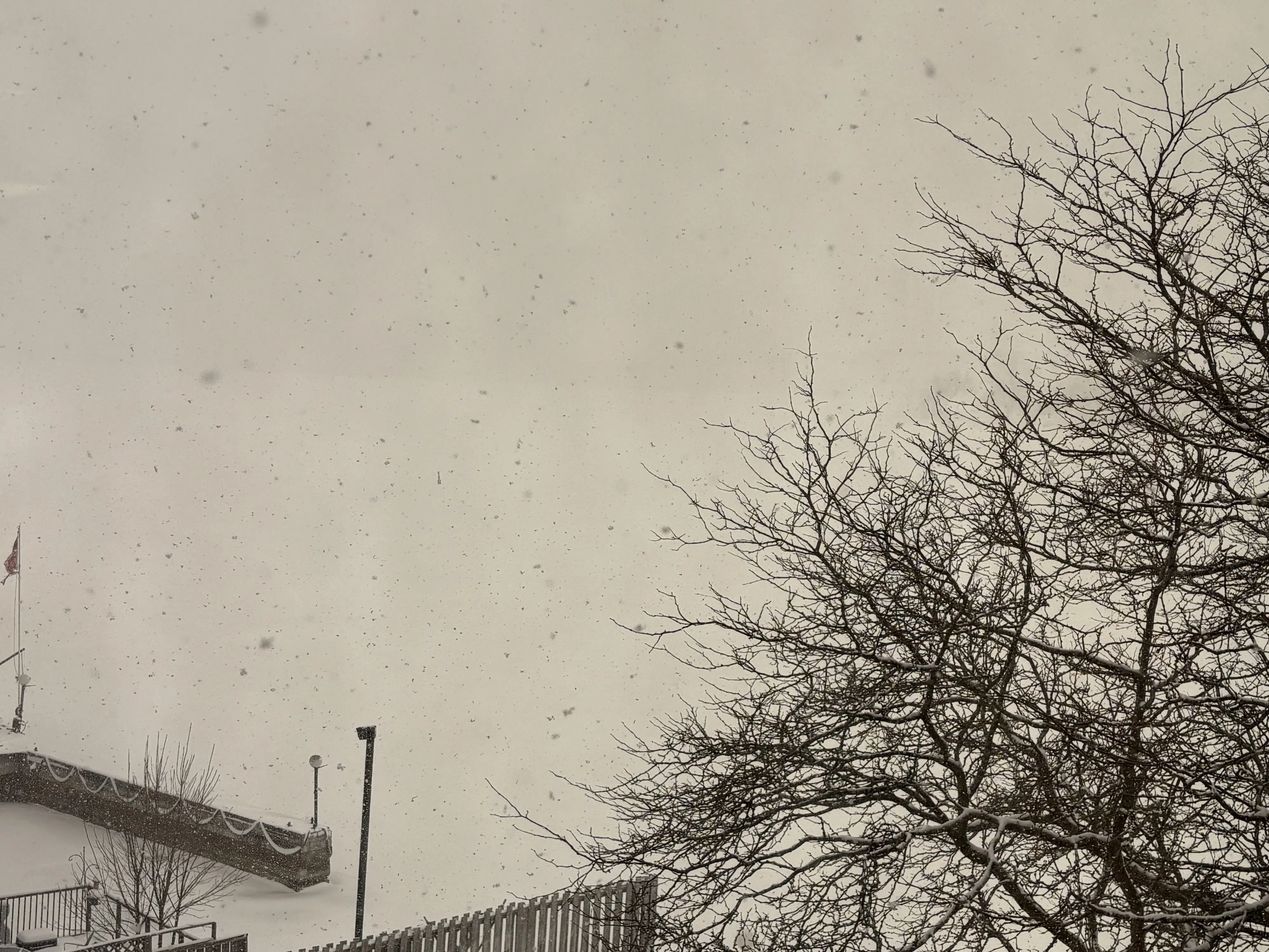 Snowfall warning, buses cancelled in Northumberland