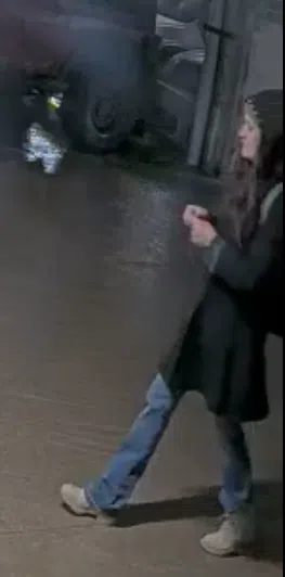 Kingston police seeking public assistance identifying theft suspect