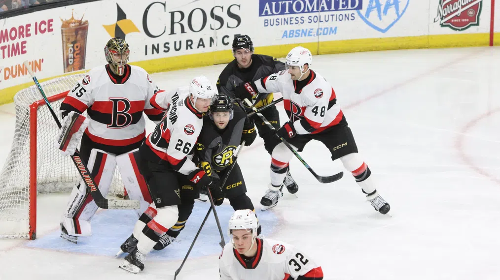 Senators lose to Bruins