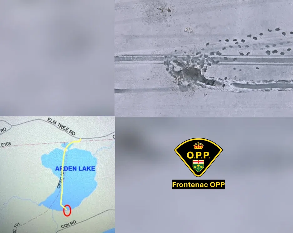 Snowmobile falls through ice at Arden Lake