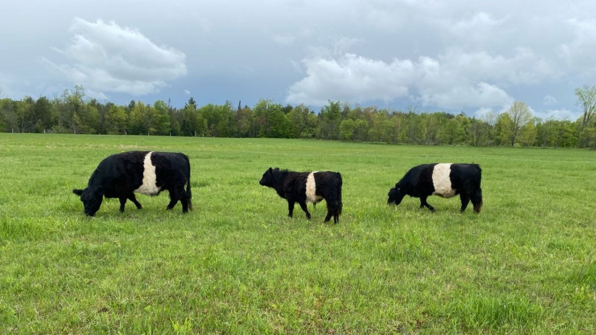 Learn about what goes on down on the farm
