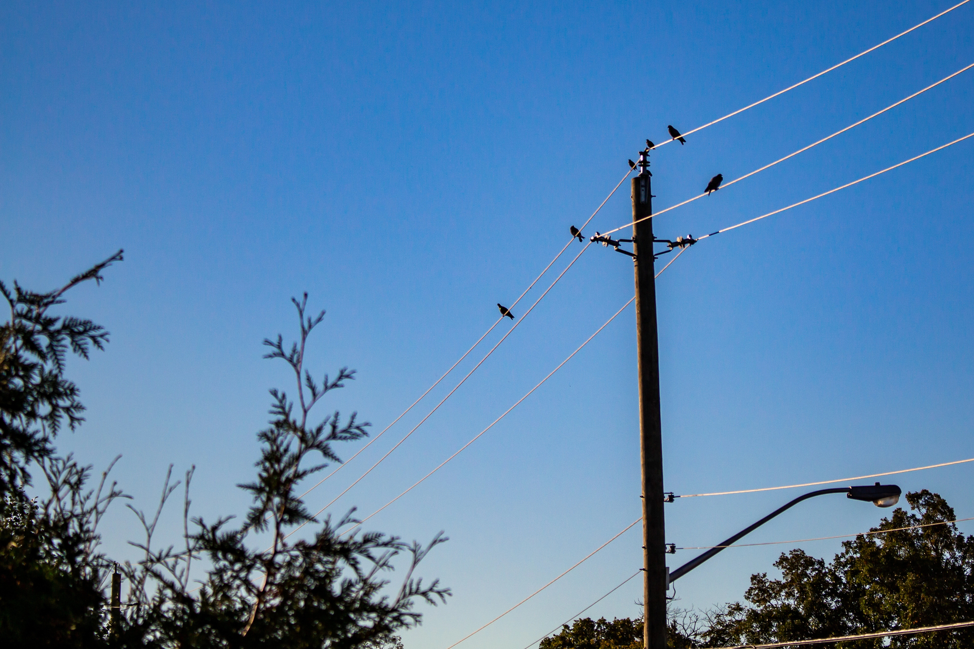 Planned power outage Sunday