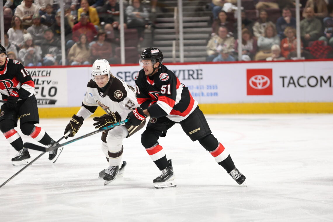 Bears beat Senators